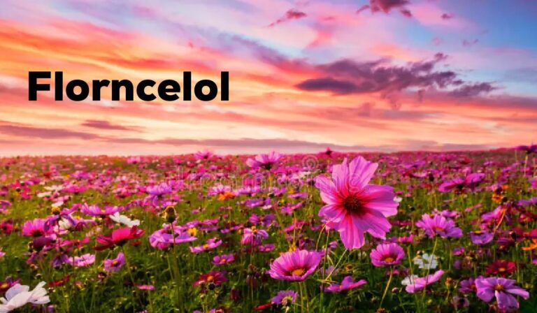 florncelol: Understanding Viral Digital Keywords Algorithmic Culture and the New Internet Identity Layer