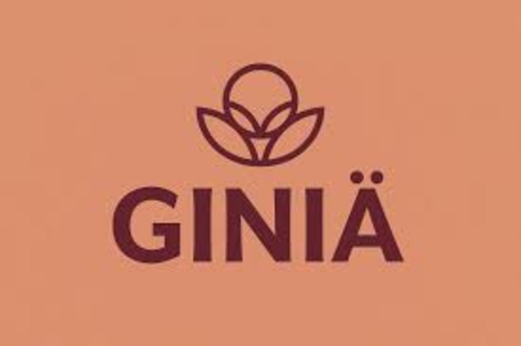 giniä